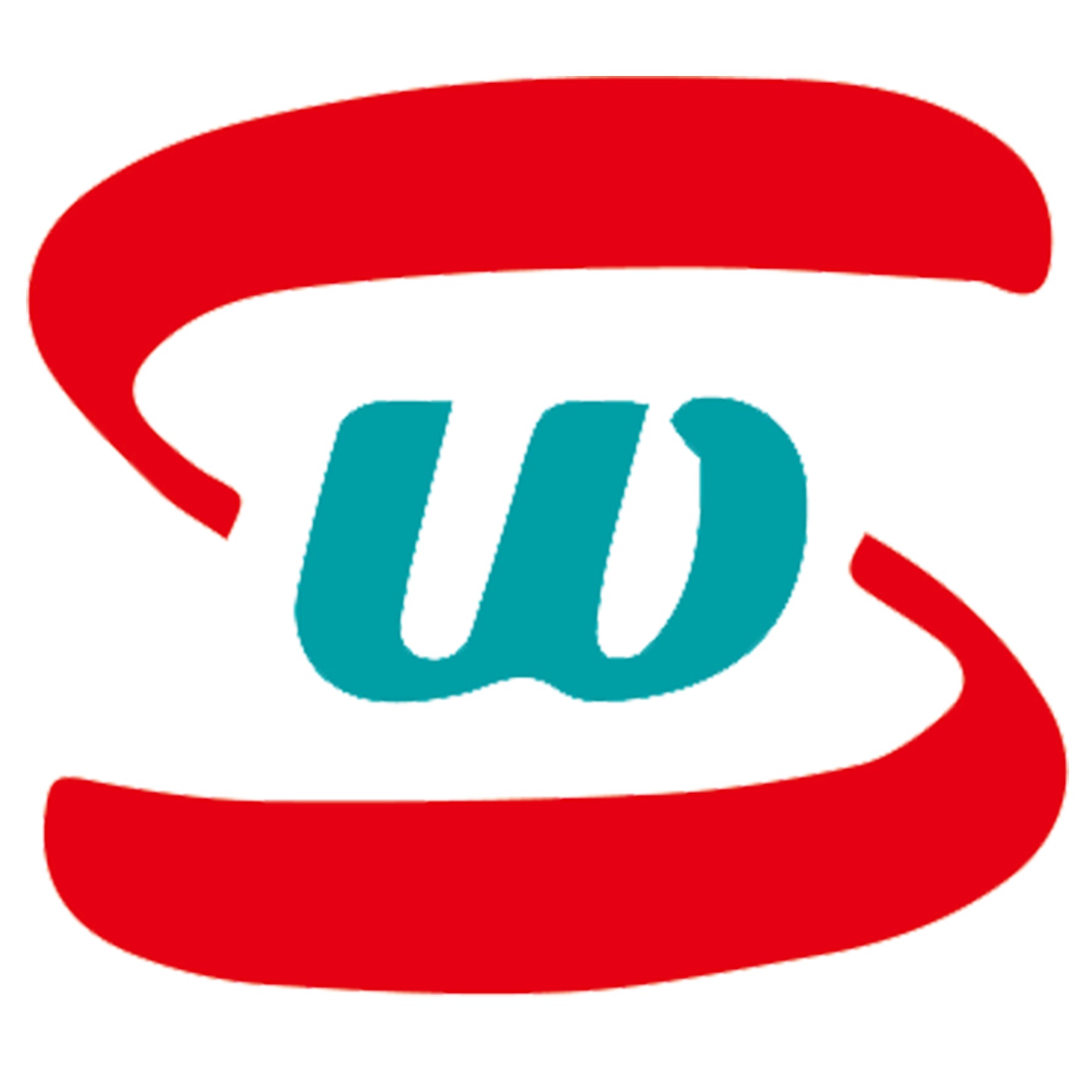 Hebei Wangshi Machinery Equipment Co., Ltd - Company Logo