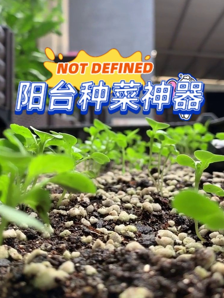 种菜专用箱塑料花盆家用户外花箱种植箱阳台种菜盆长方形大号神器