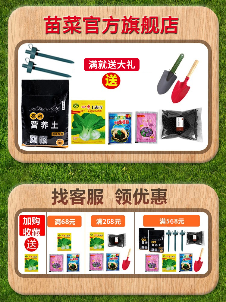 顶楼阳台种菜专用箱塑料种植箱户外天台屋顶花箱家用长方形花盆