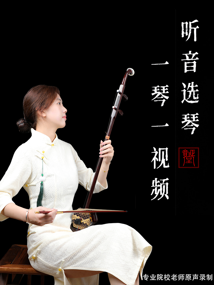 正音堂二胡乐器成人专业演奏黑檀二胡初学者考级胡琴苏州厂家直销
