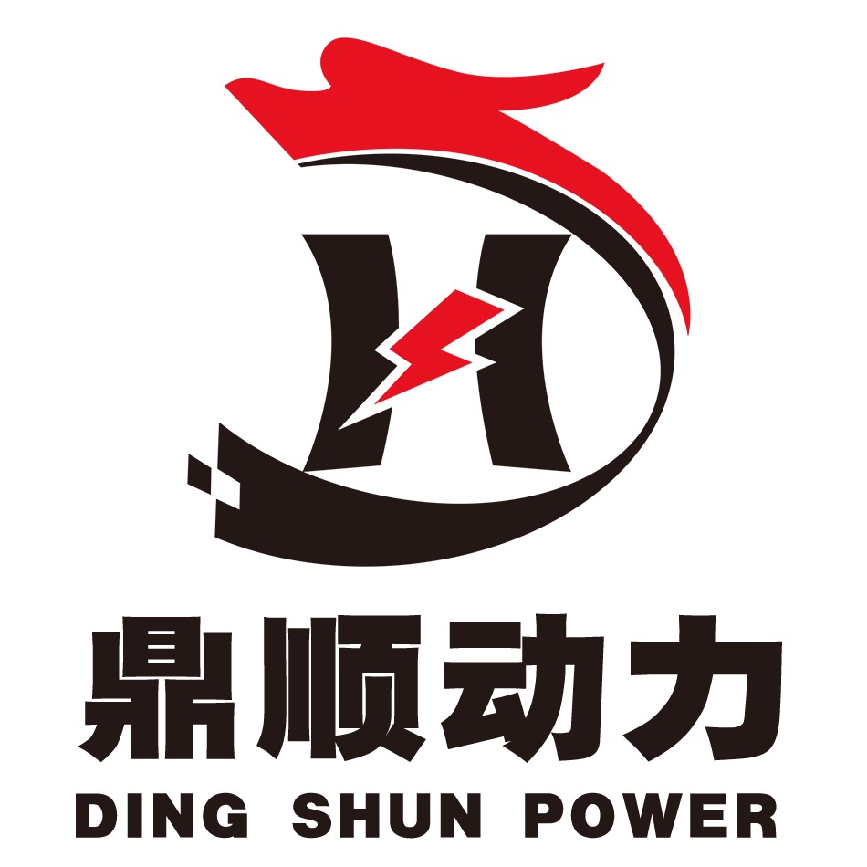 山东鼎顺动力设备有限公司