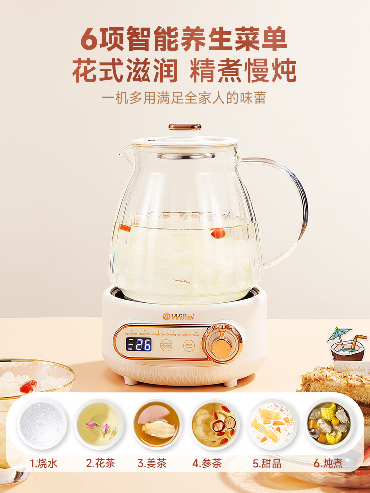 德国电茶炉蒸茶煮茶器泡茶壶电热一体家用小型全自动办公室烧开水