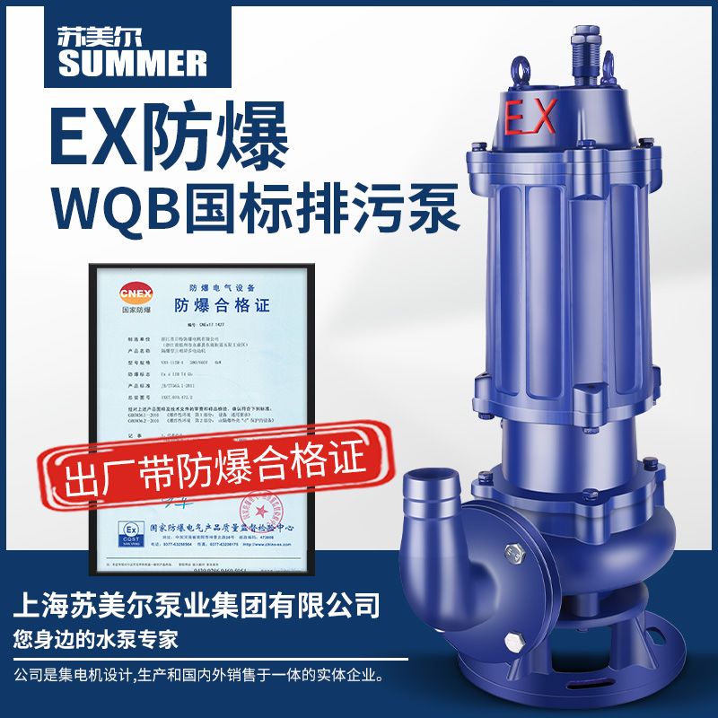 BQW防爆潜水排污泵ex国标潜污泵380V三相矿厂加油站集水坑污水泵
