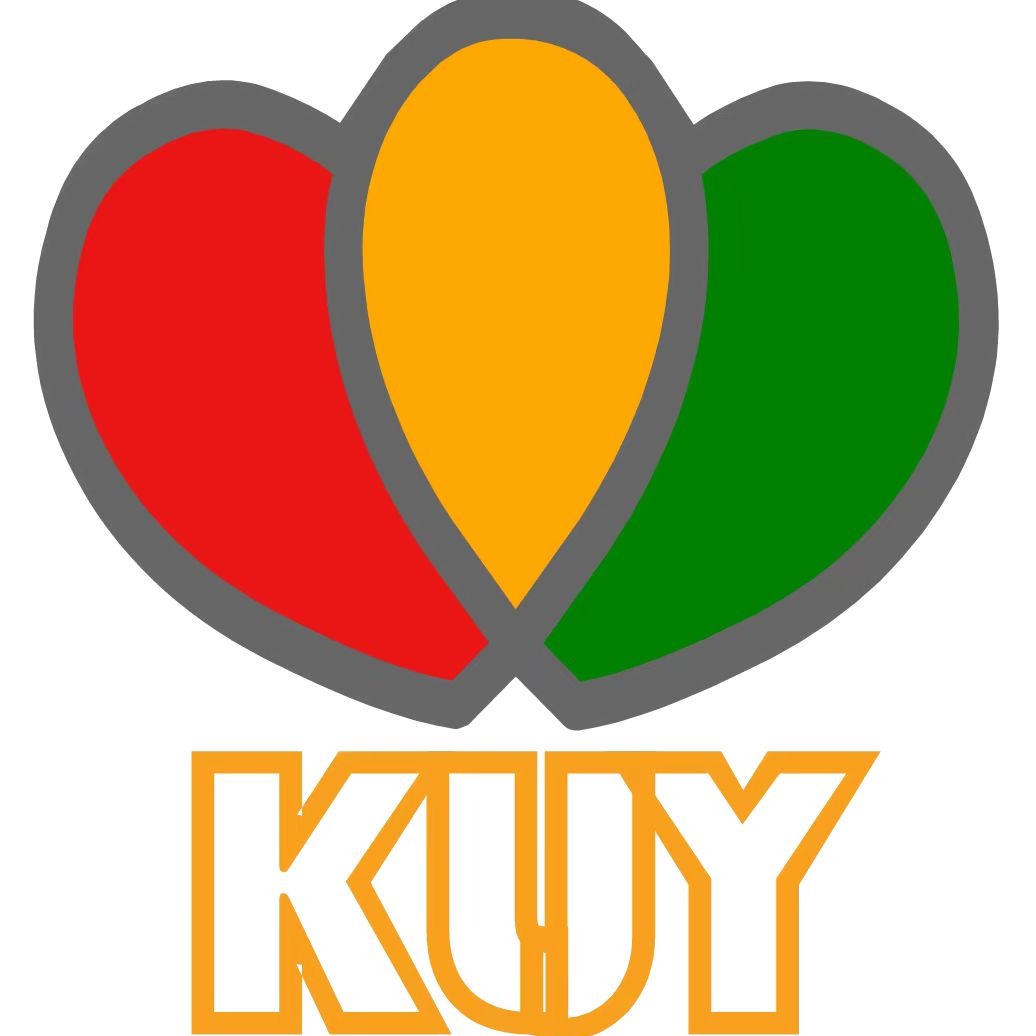 江西康利吉英医疗科技有限公司