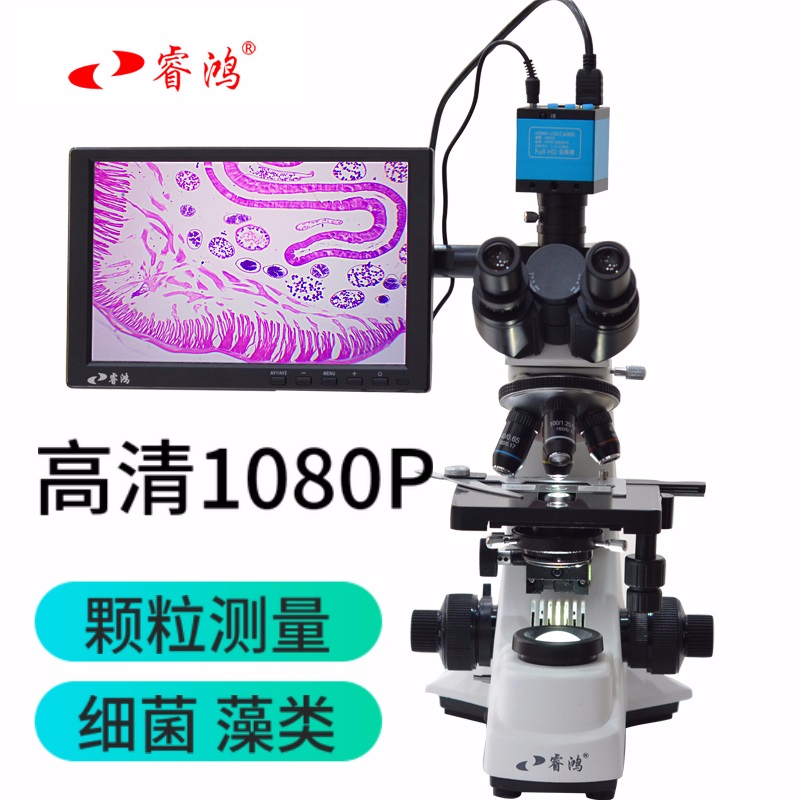 专业双目显微镜光学BM-500T高倍科研显示屏生物粉末颗粒测量细菌