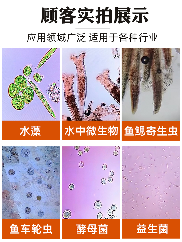 高倍双目三目养殖水产专用显微镜专业看微生物藻类鱼病益生菌鱼用