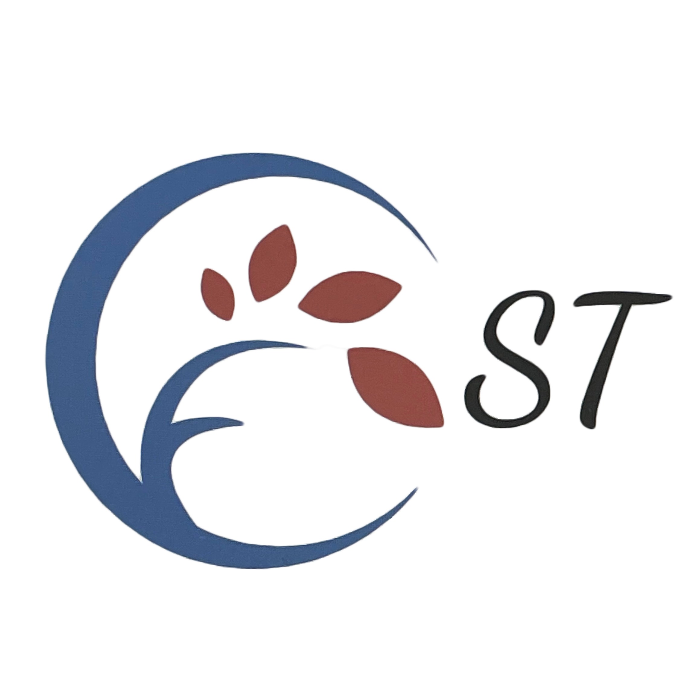 北京圣太轩辕化工有限公司