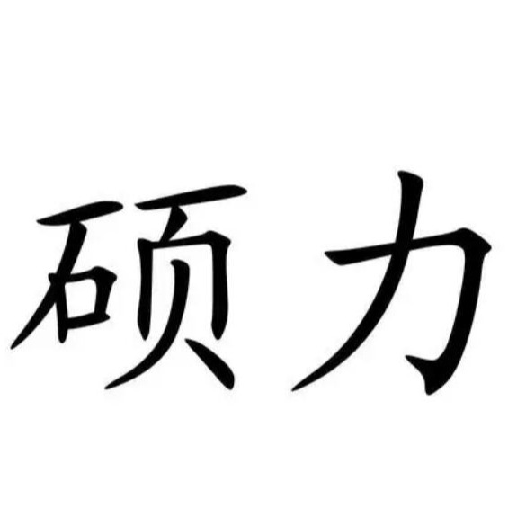 徐州硕力重型机械有限公司 - 公司logo