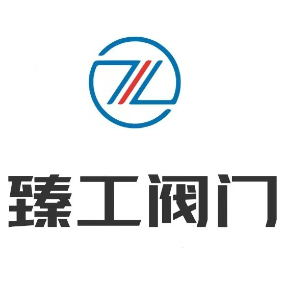 浙江臻工阀门科技有限公司