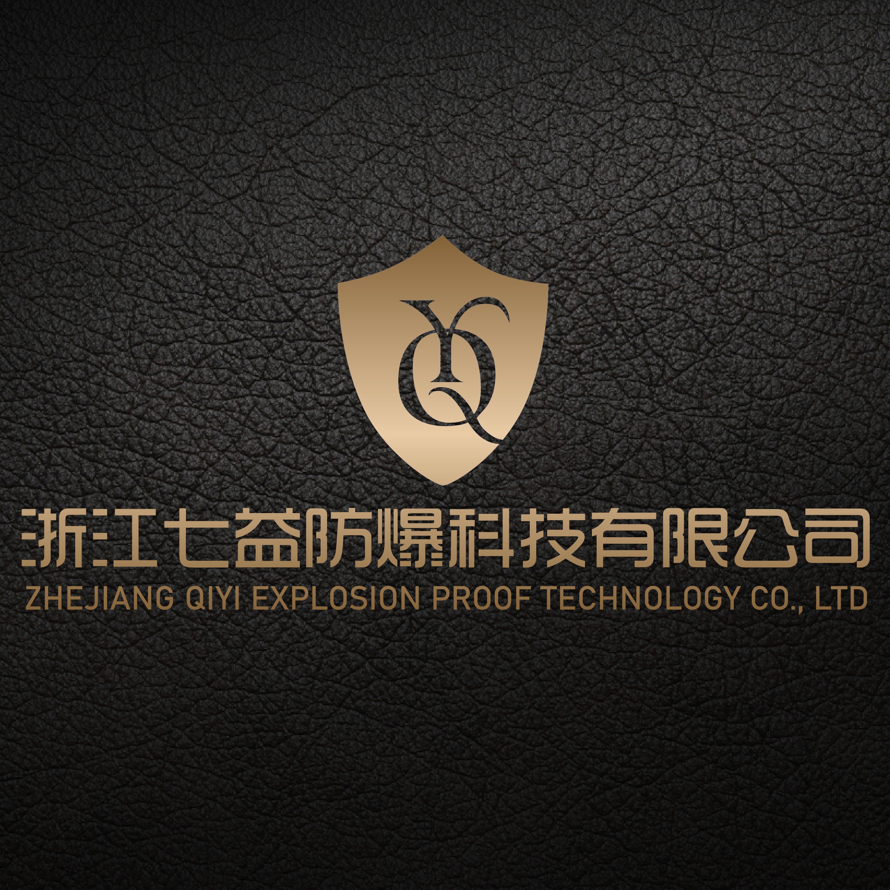 甘肃乐意发防爆科技有限公司 - 公司logo