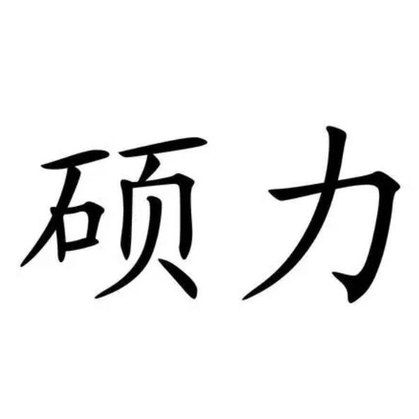 Xuzhou Shuoli Heavy Machinery Co., Ltd - Company Logo