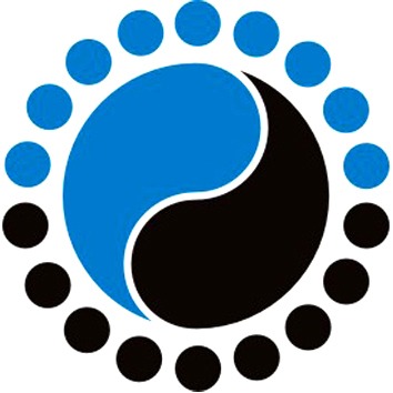 武汉大师时代工程有限公司 - 公司logo