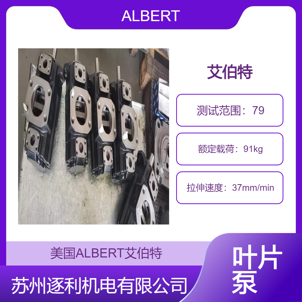 AIbert艾伯特ALBERT油泵ABT22T-100-100-1R01-C1伺服泵