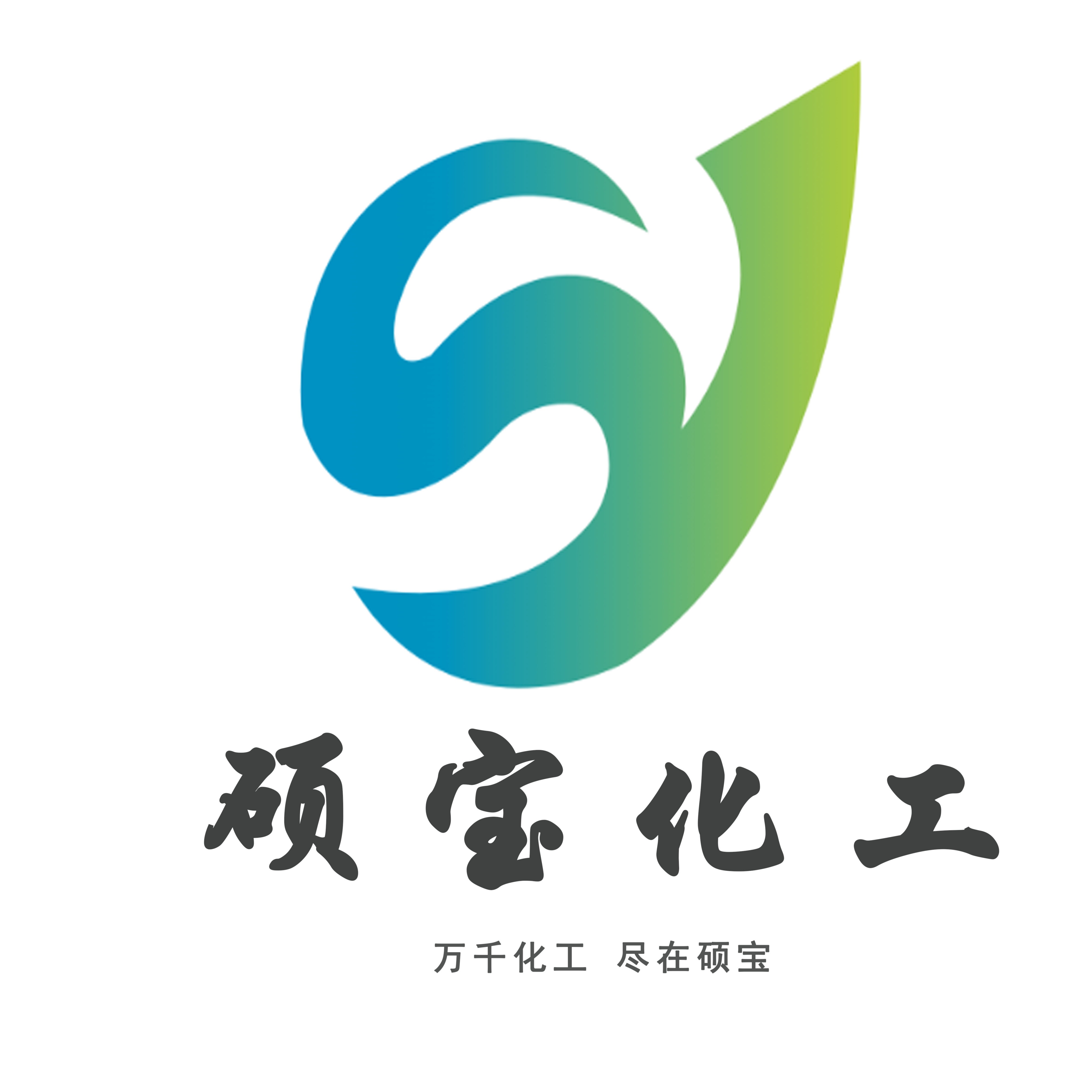 山东硕宝化工有限公司 - 公司logo