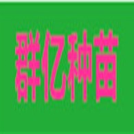 灵山群亿苗木有限公司