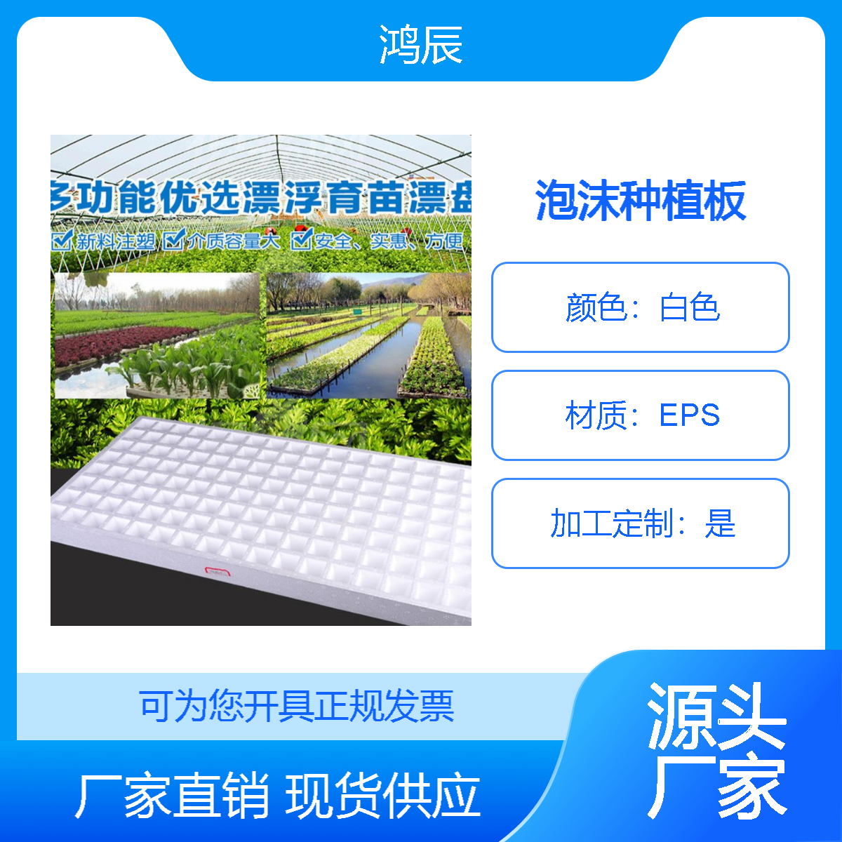 高密度EPS泡沫板打孔水稻种植板实验育苗盘景观绿化漂浮板厂家