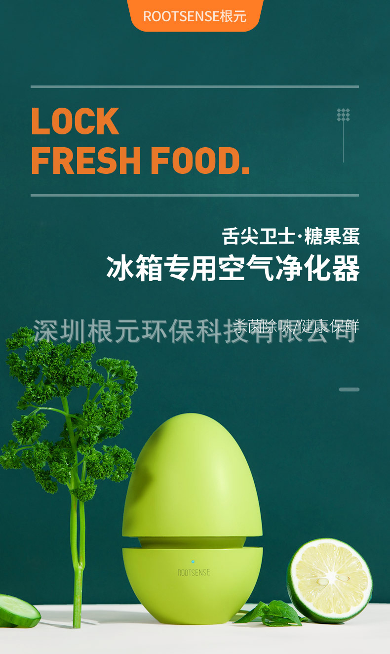 Household refrigerator purifier ozone disinfection, deodorization, and preservation of fruits and vegetables