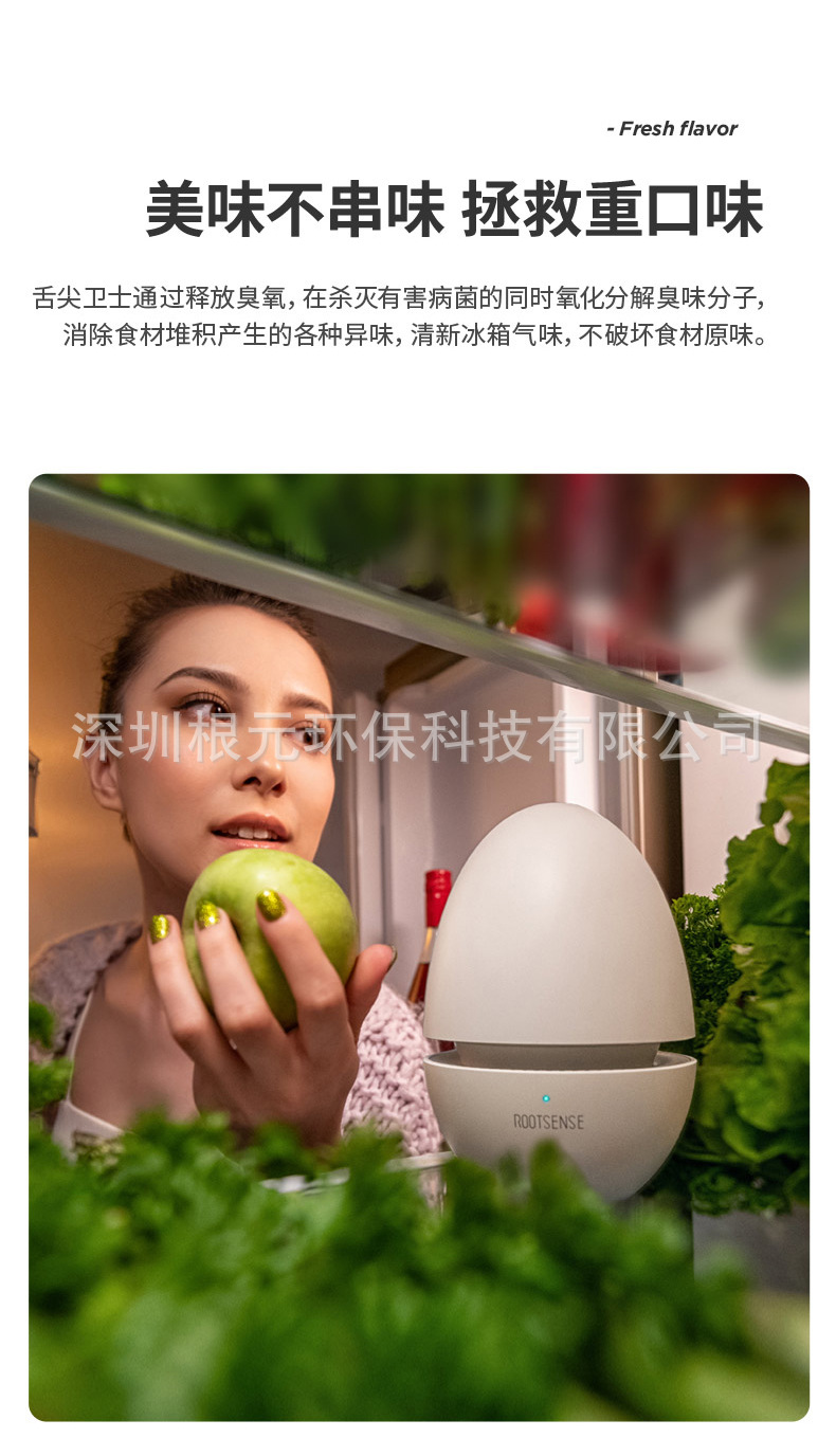 Household refrigerator purifier ozone disinfection, deodorization, and preservation of fruits and vegetables