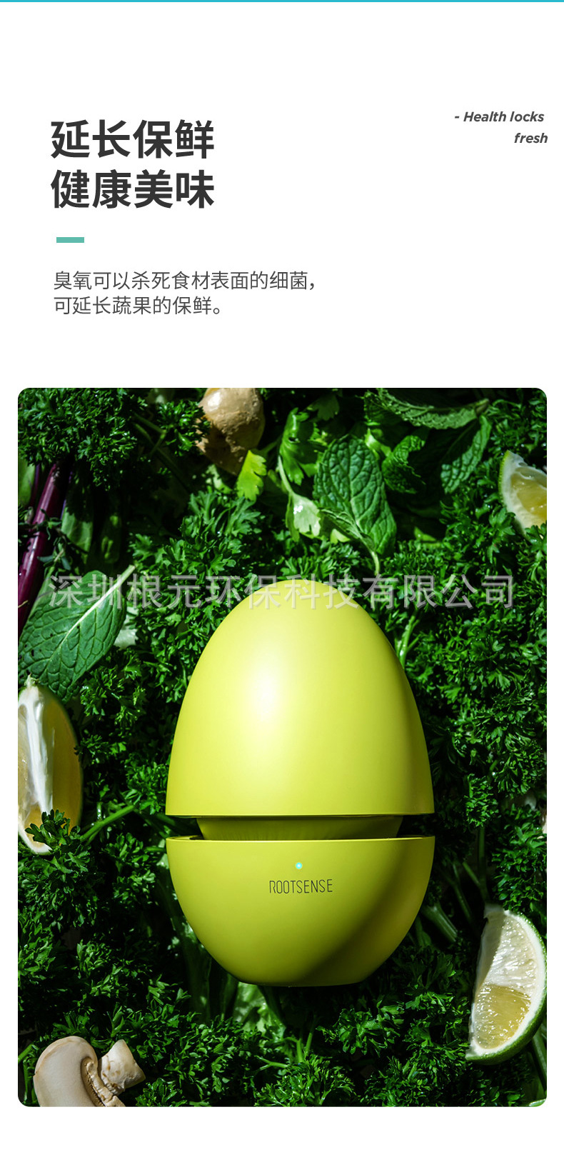 Household refrigerator purifier ozone disinfection, deodorization, and preservation of fruits and vegetables