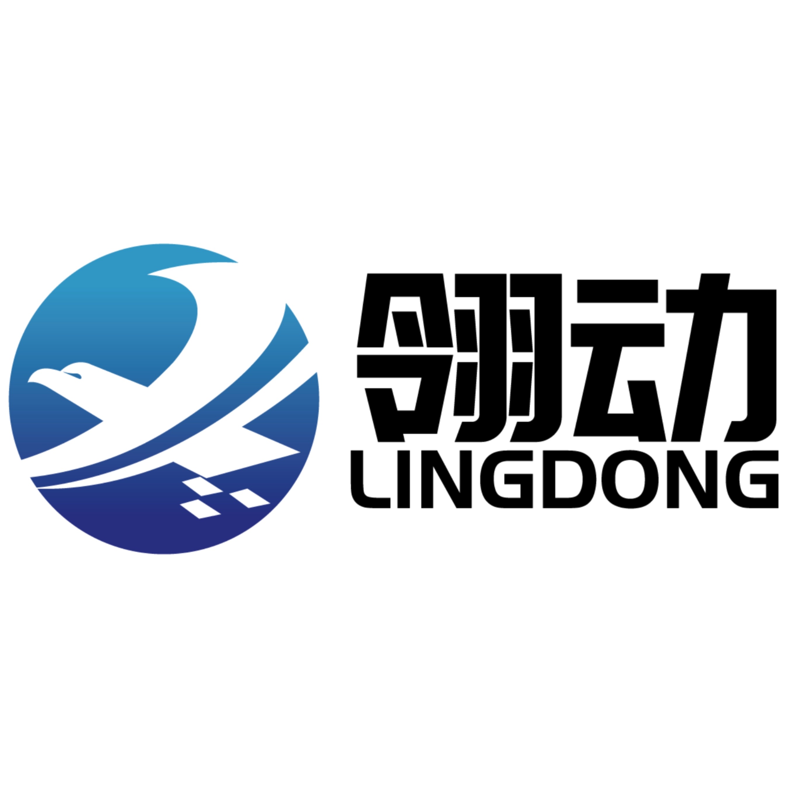 湖南翎动科技有限公司