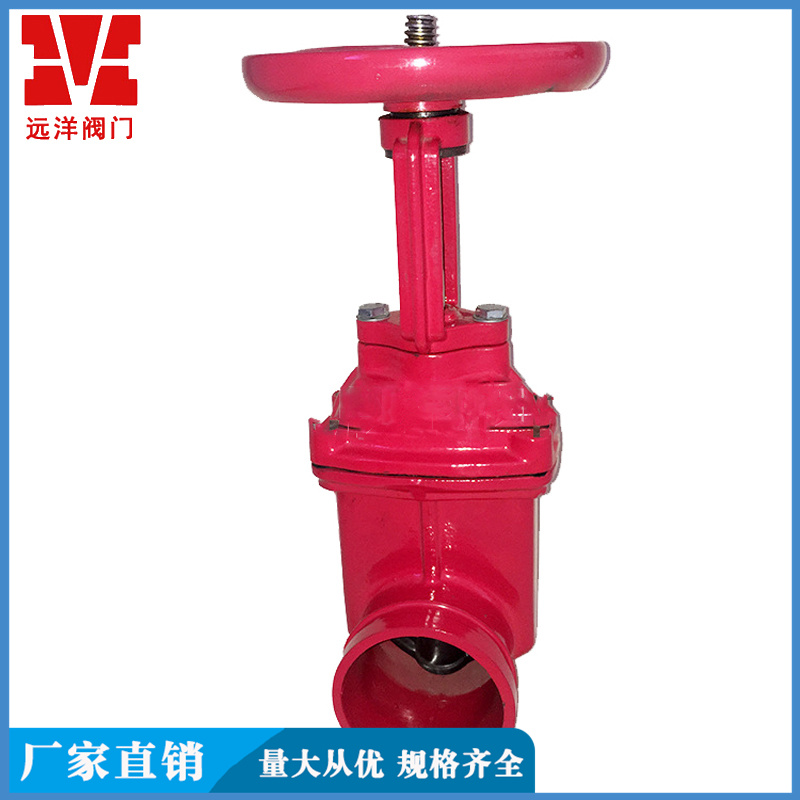 Rising stem red groove gate valve Z81X-16 ocean valve supports customization as needed