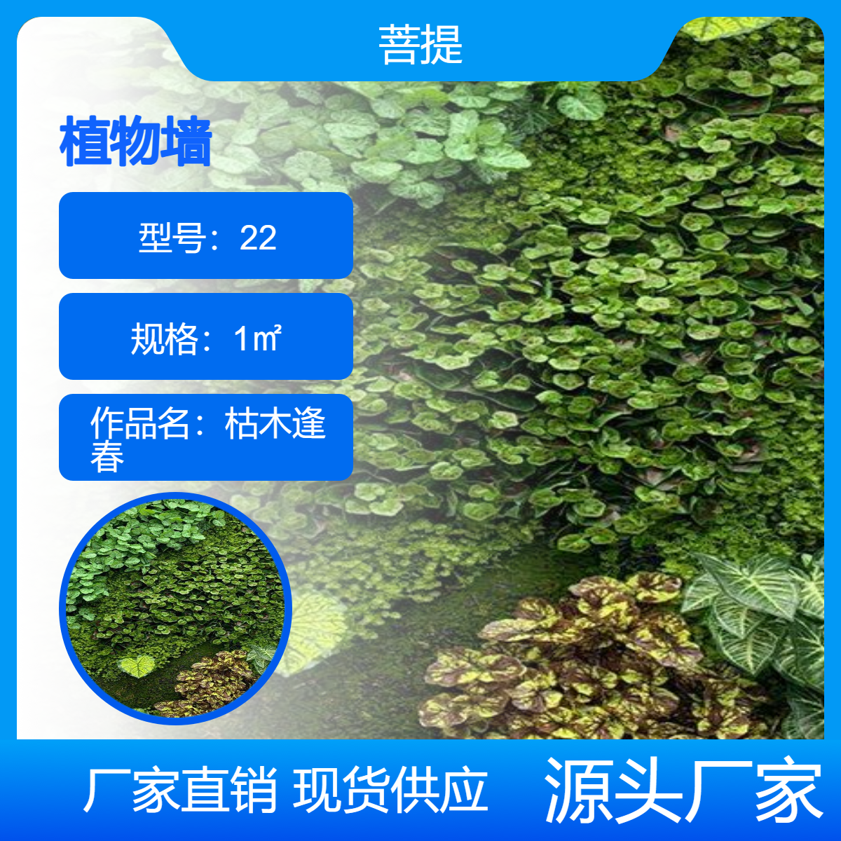 永生苔藓植物墙面装饰办公室商场形象墙室内景观白发藓 菩提