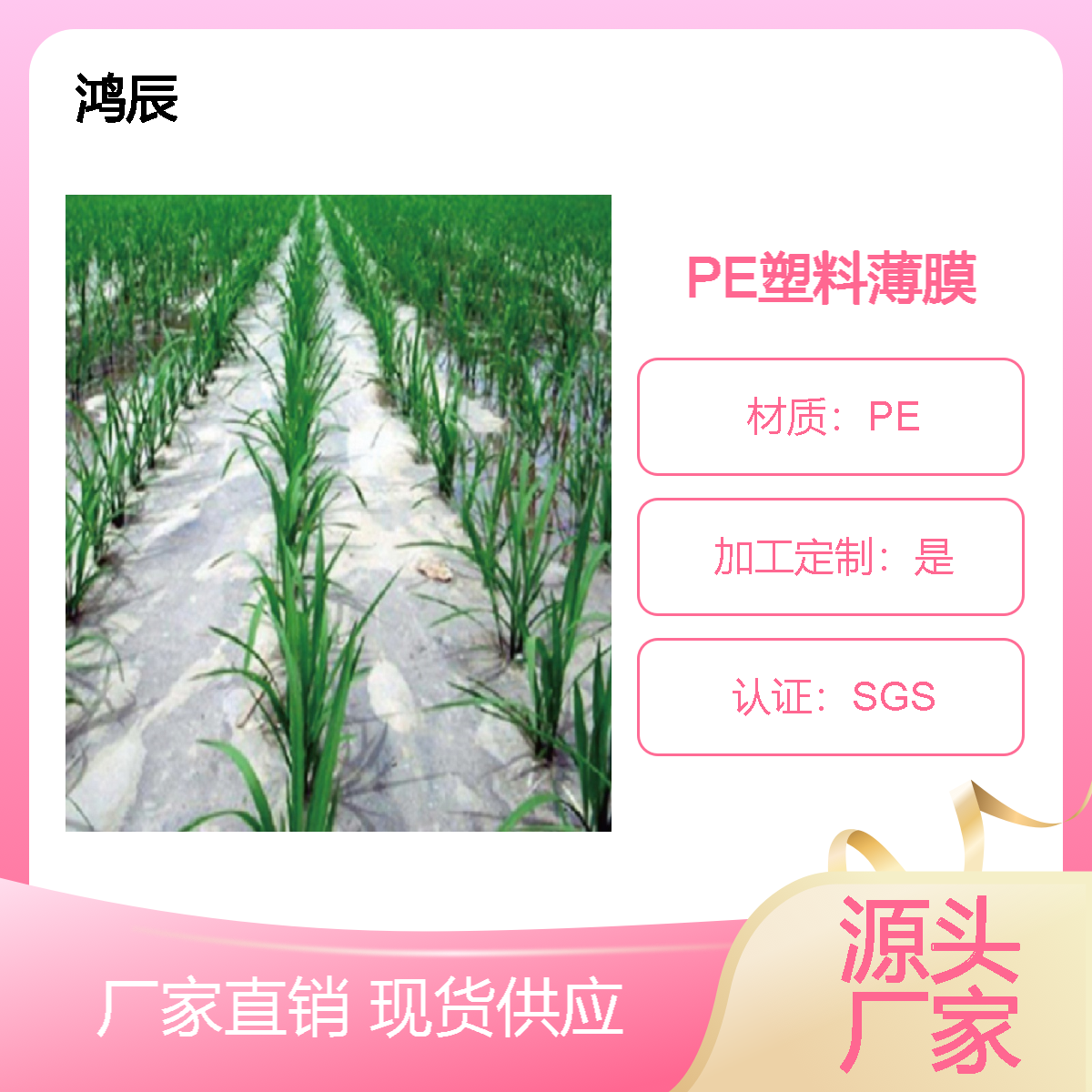 PE白色透明农用薄膜保湿地膜保温膜铺地塑料薄膜