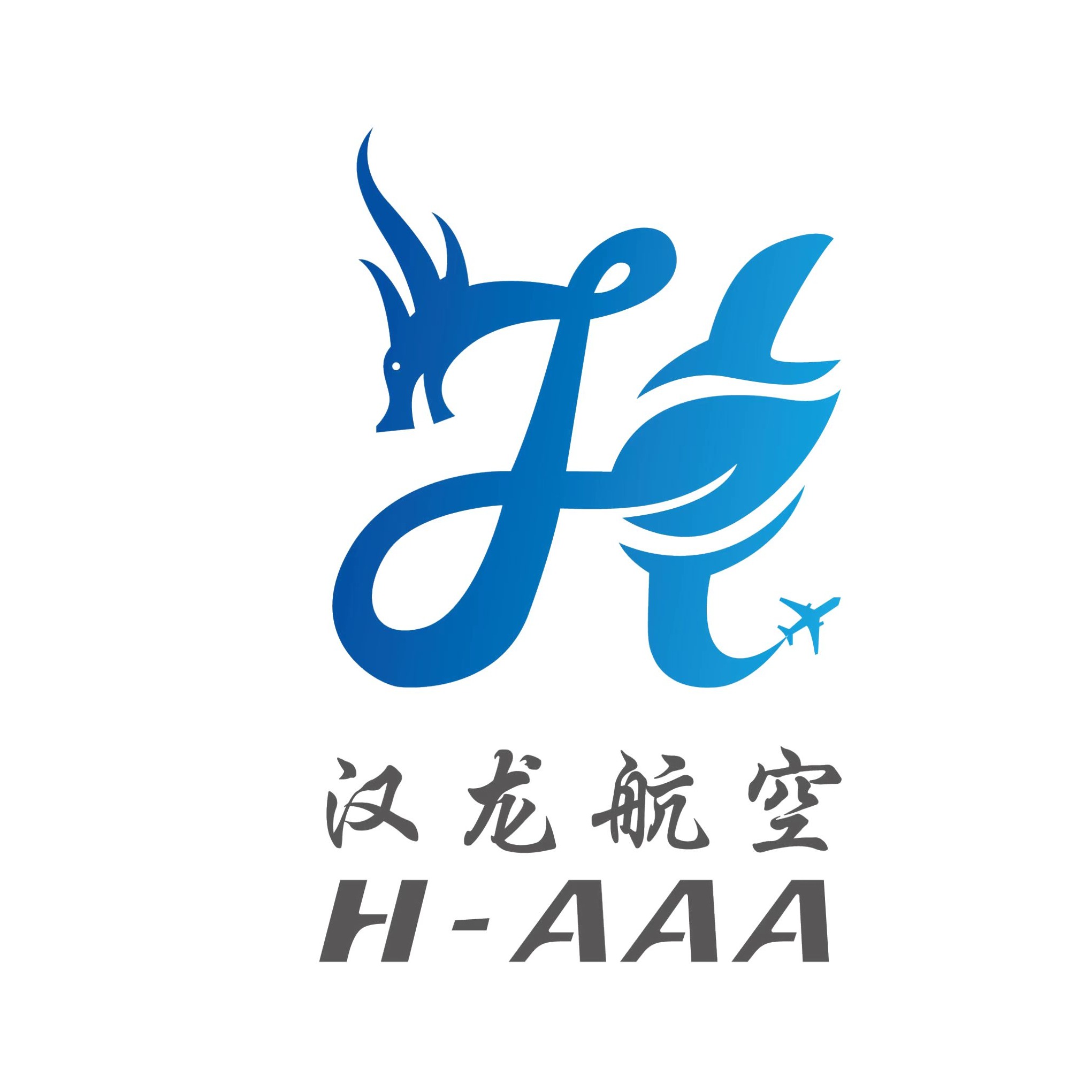 江苏汉龙航空科技发展有限公司