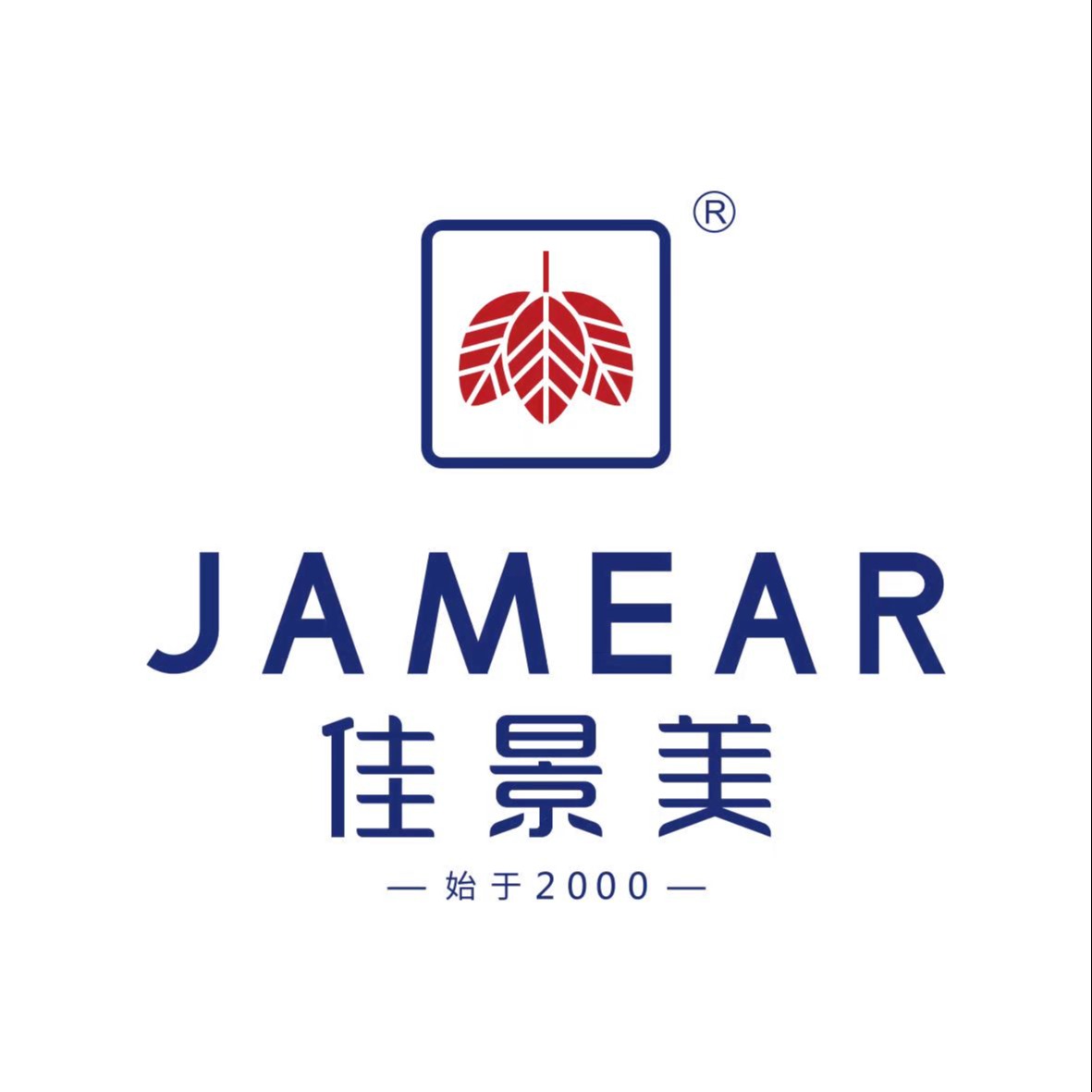 安徽佳景美新材料有限公司 - 公司logo