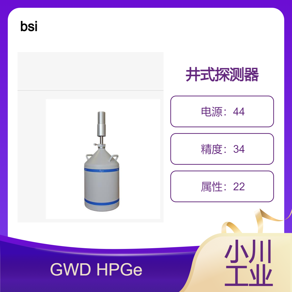 bsi/GWD HPGe 井式探测器 液氮冷却/高计数率指示器