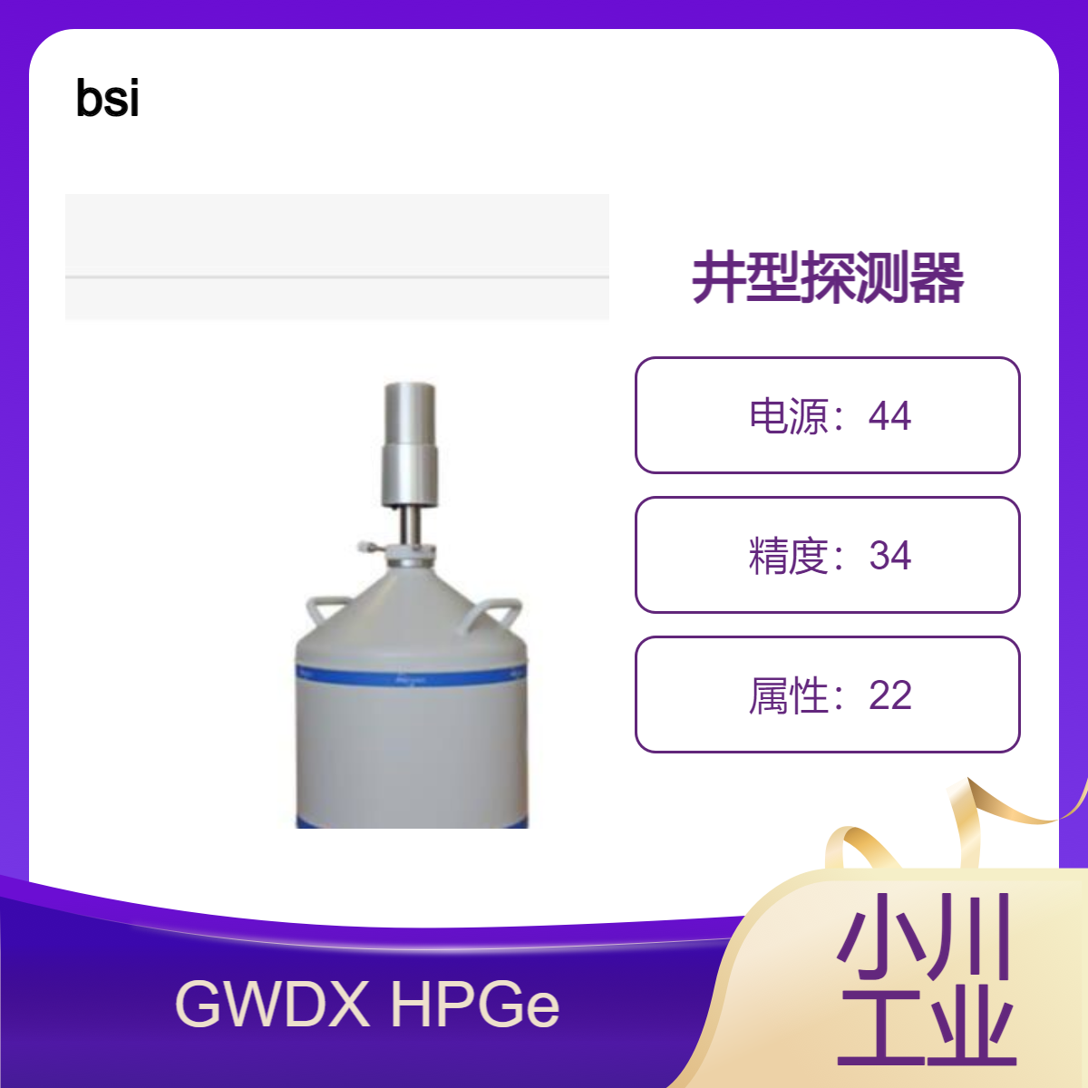 bsi/具有非凡分辨率的 GWDX HPGe 井型探测器/高计数率指示器