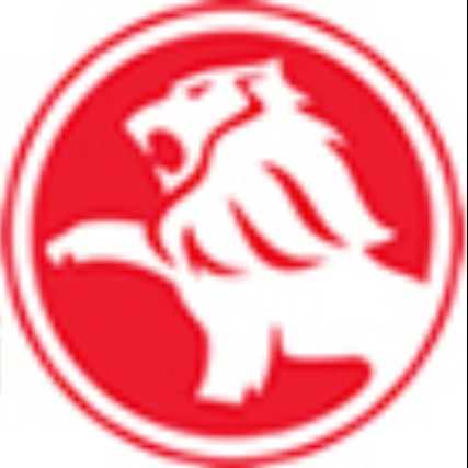 青岛德强鑫电动汽车有限公司