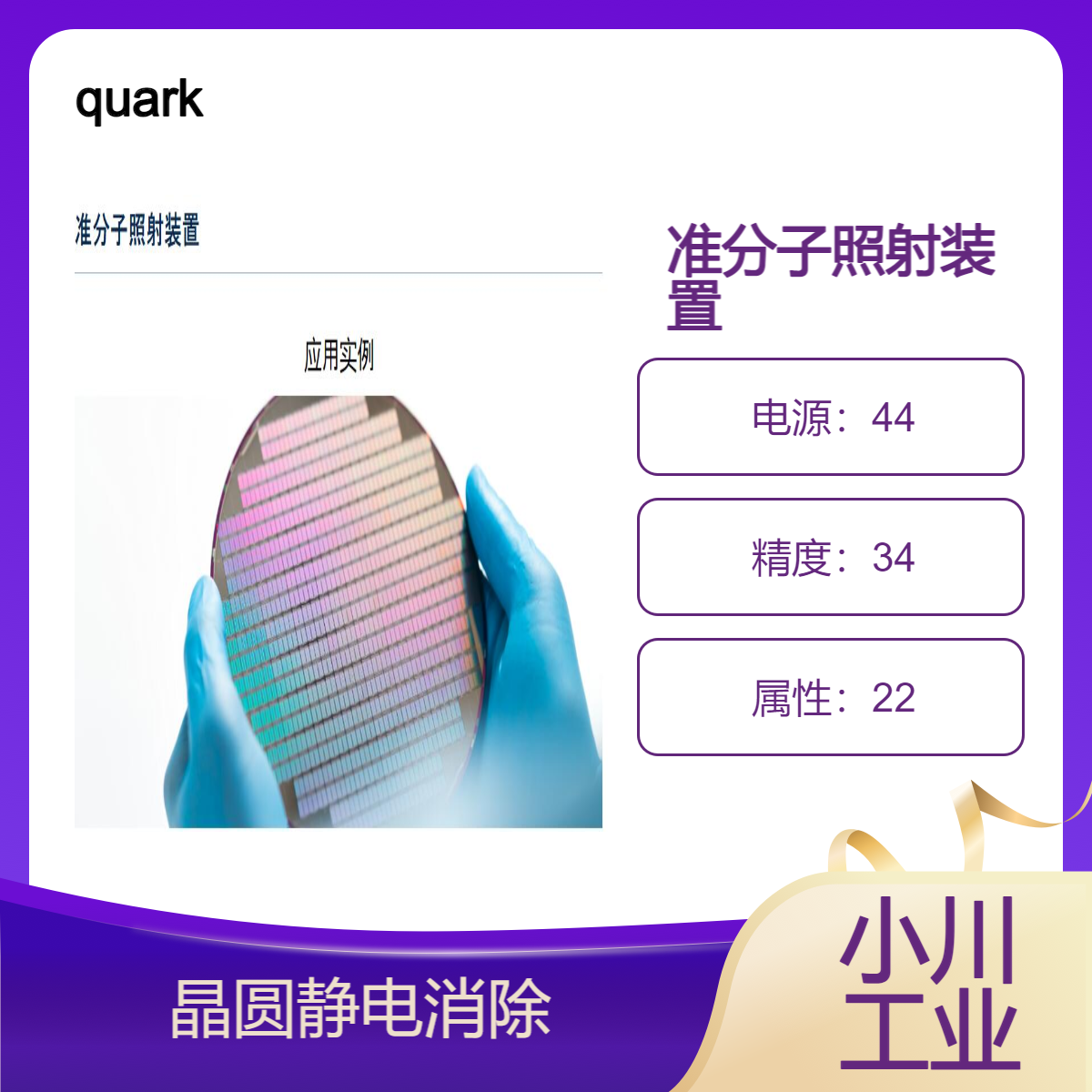 quark/准分子照射装置/晶圆静电消除（防止电路损坏）