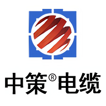 杭州中策电缆有限公司