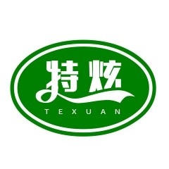 深圳市特炫科技有限公司