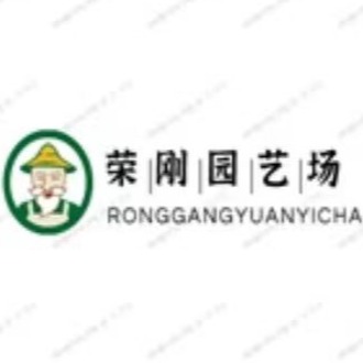 泰安荣刚苗木有限公司