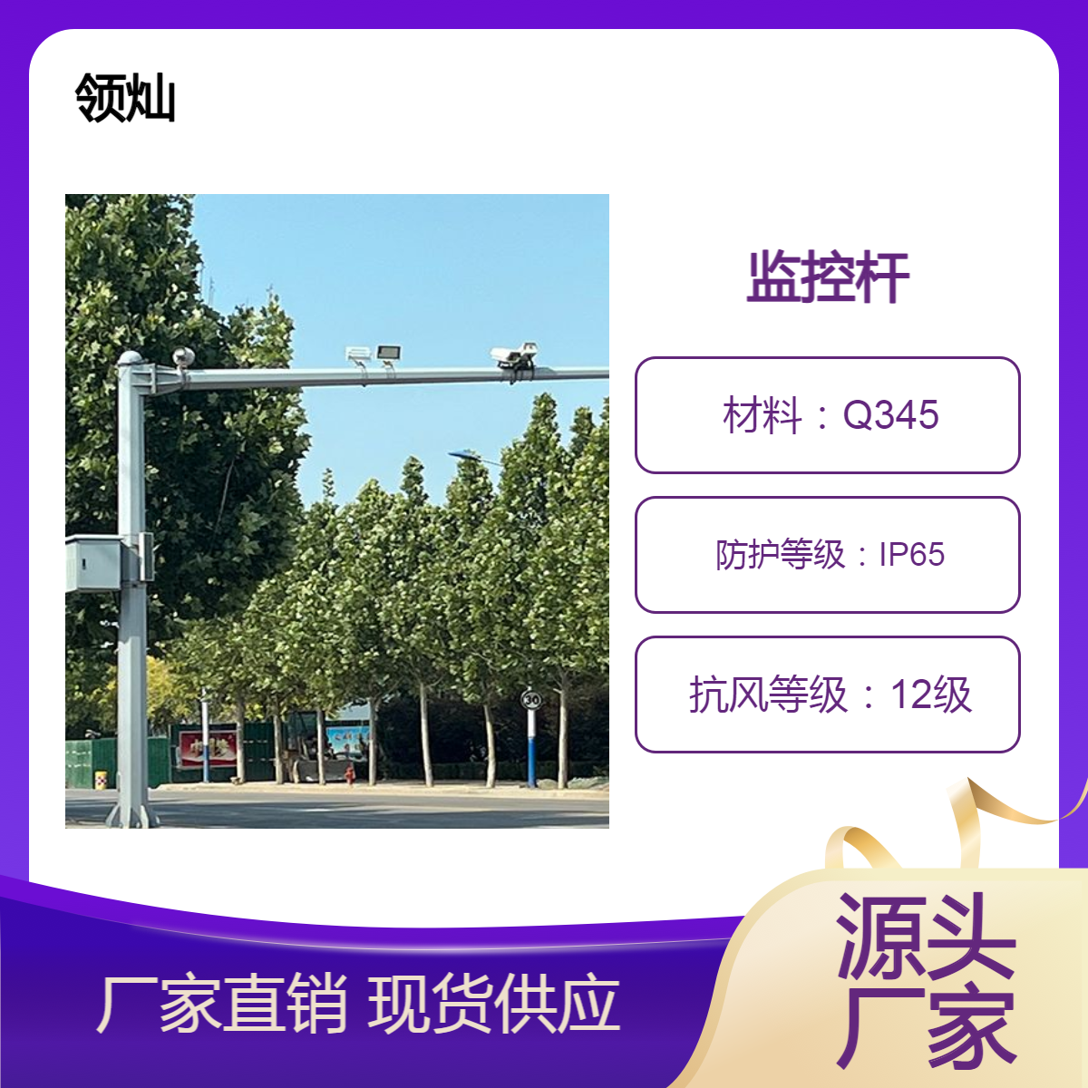 山 东领灿源头加工十字路口八角F形标志牌监控杆