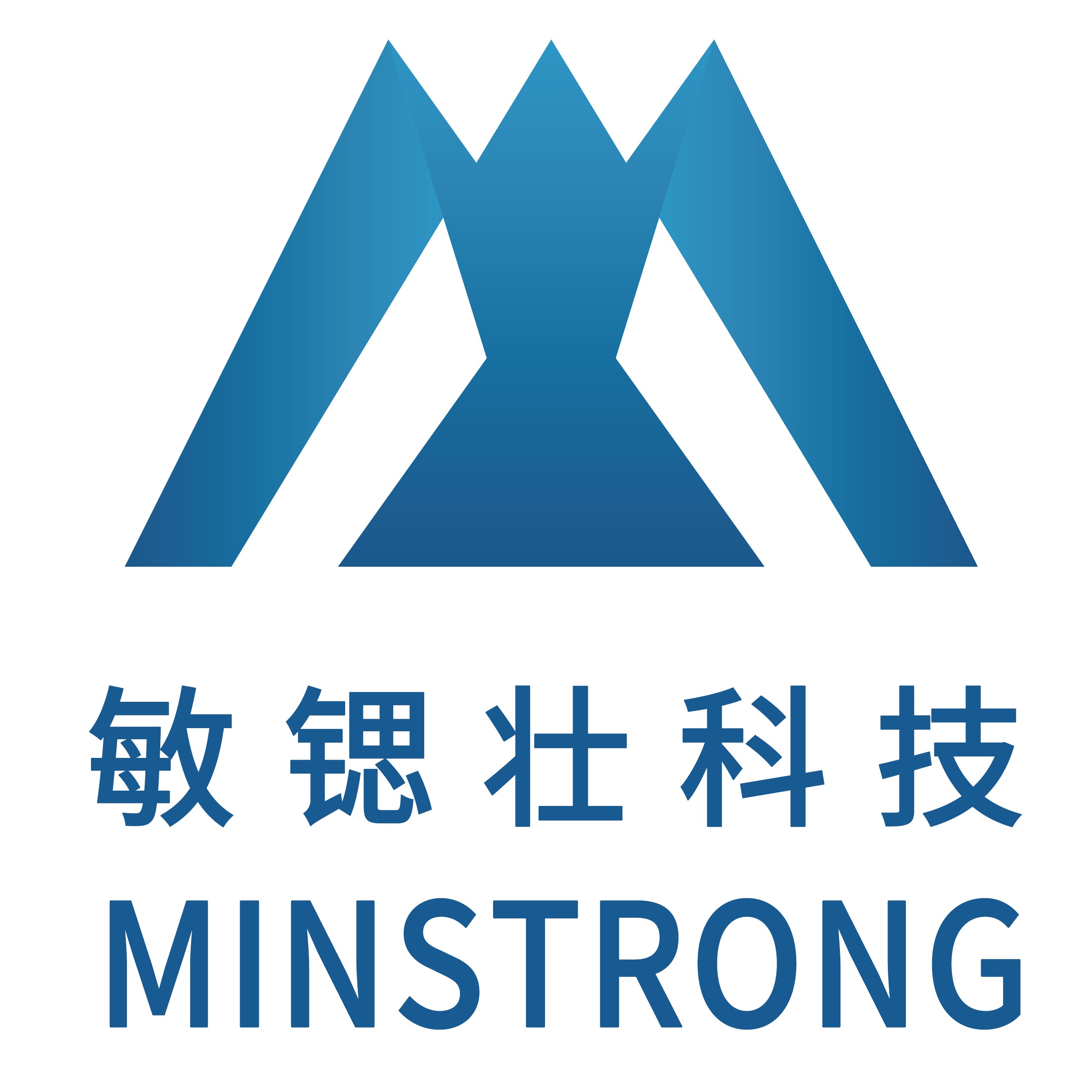 湖南敏锶壮科技有限公司