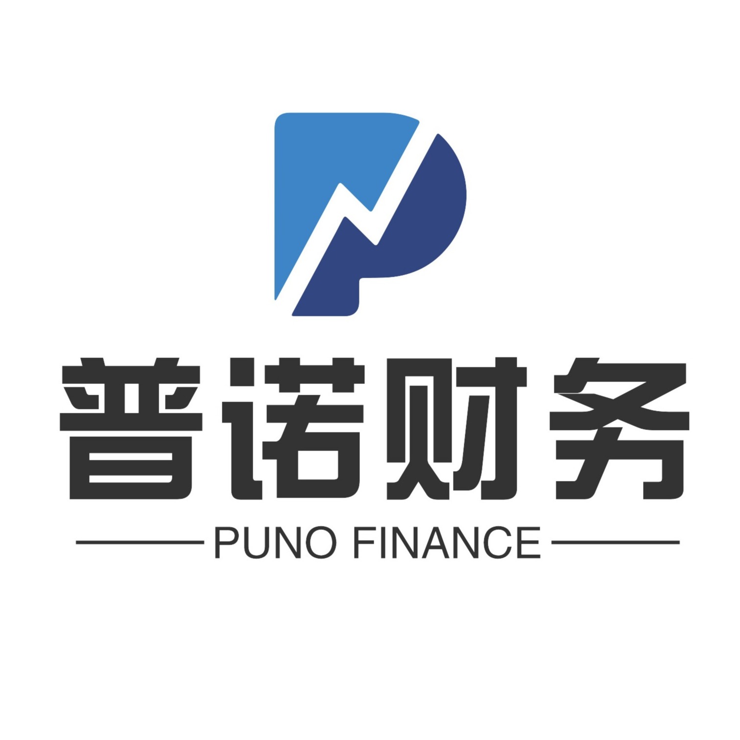 深圳普诺财务咨询有限公司