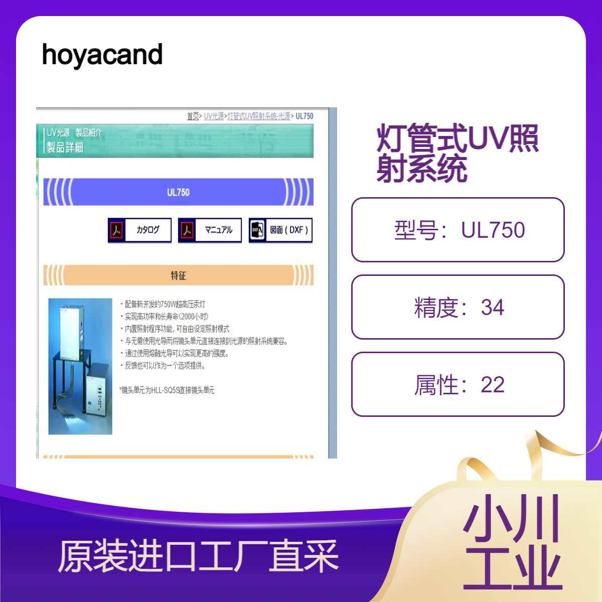 hoyacandeo/灯管式UV照射系统UL750/ 实现高功率和长寿命