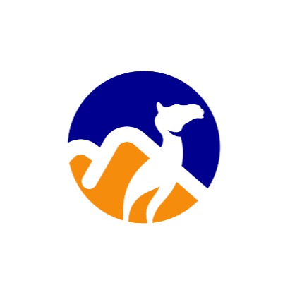 深圳市骆驼兄弟国际货运代理有限公司