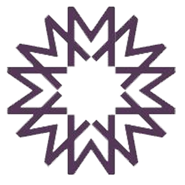 武汉米特思科技有限公司 - 公司logo