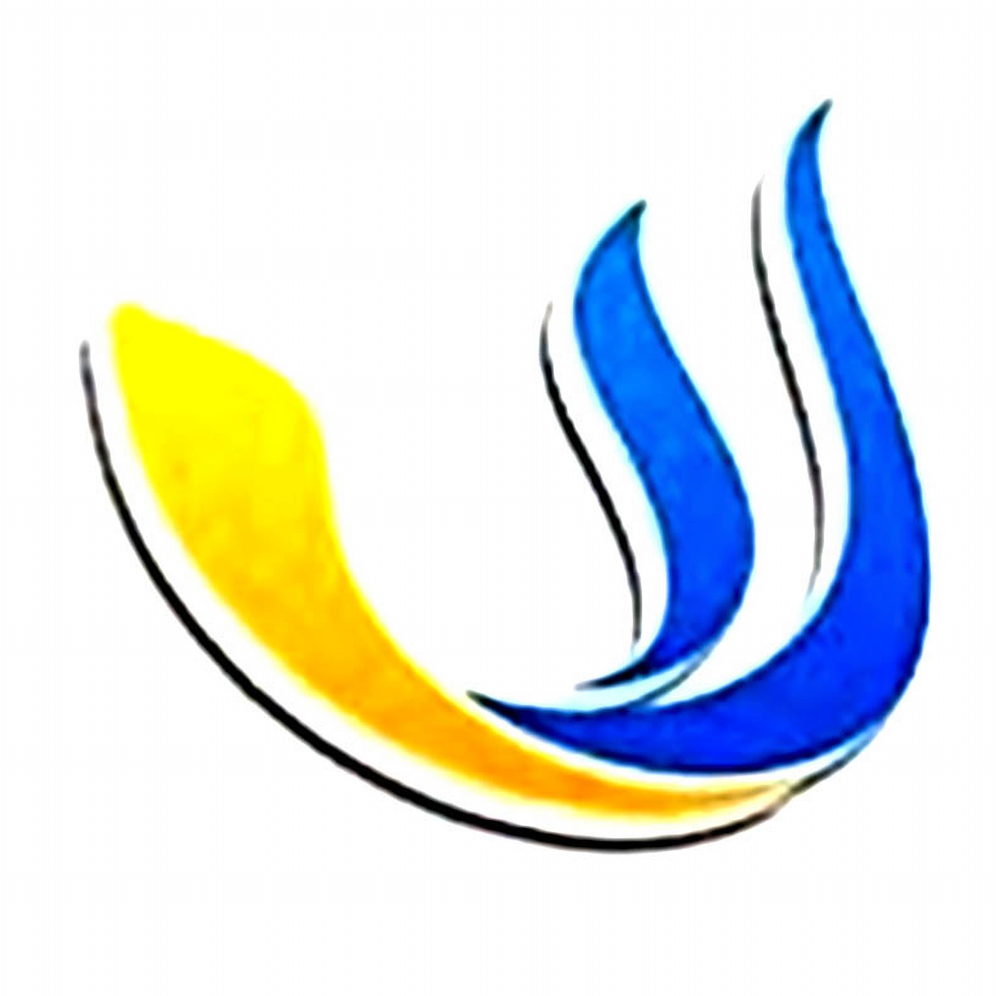 深圳市万顺航国际货运代理有限公司