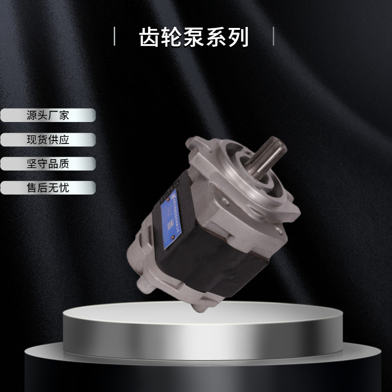 HCHC长源液压 CBHYA-G/F 铸铁双联齿轮油泵 耐用