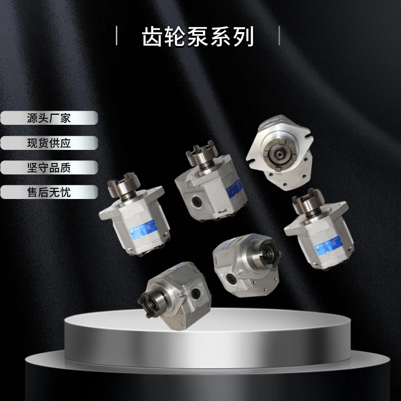 hchc长源齿轮油泵CBFK-E445-ALXL性能稳定环保车叉车配套