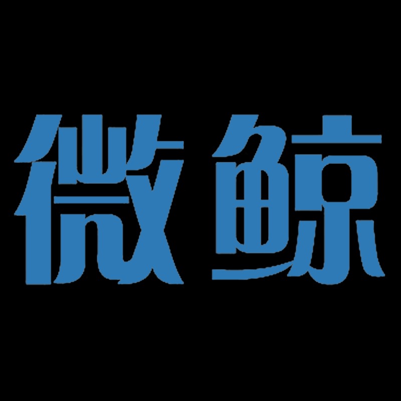 山东微鲸智能科技有限公司