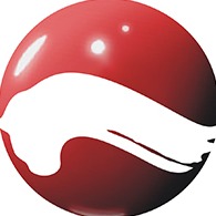 东莞市乔科化学有限公司