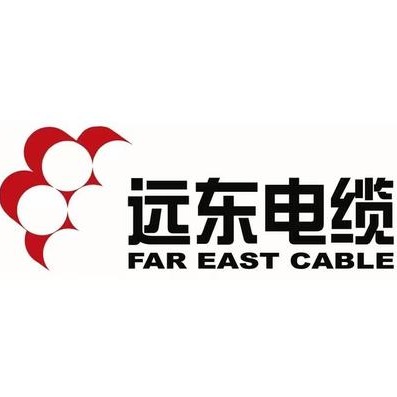 远东电缆武汉洪山专卖有限公司