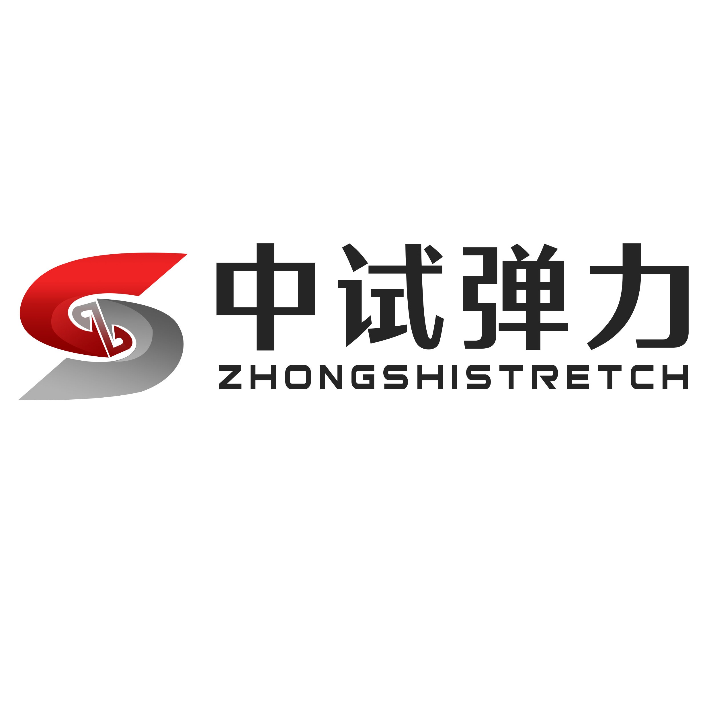 山东中试弹力试验机有限公司 - 公司logo