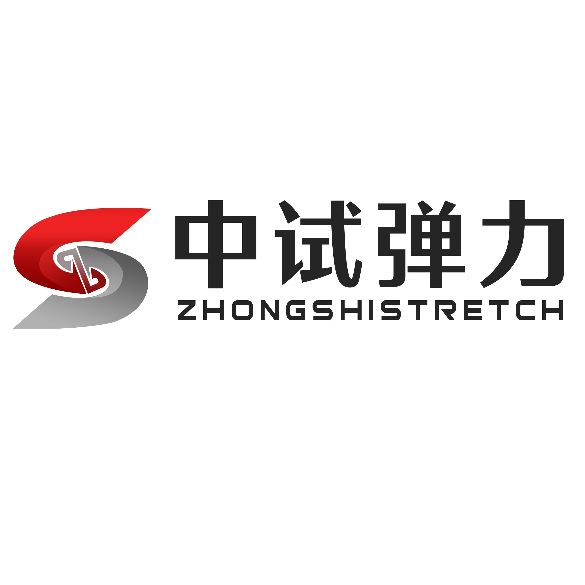 山东中试弹力试验机有限公司 - 公司logo